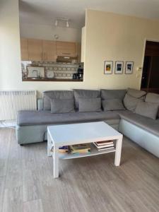 Appartements Superbe appartement st mandrier a 100mde la plage : photos des chambres
