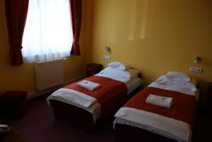 Standard Twin Room room in Hotel Palota City