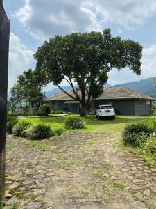 Rumah Selasar Sawah