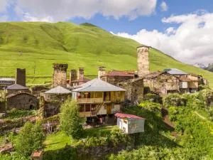 GuestHouse NaSHGOBI - 乌树故里