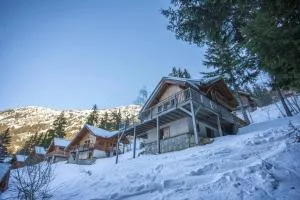 Chalet Ozzy - Allemond