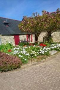 Maisons de vacances Belle longere a 500m de la mer : photos des chambres