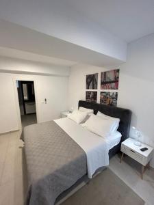 CentRooms Kovac 