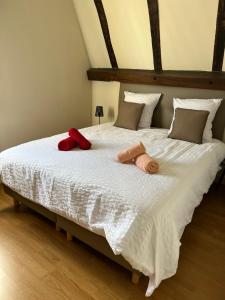 Appartements Fleur de Coton 6 pers a 20 minutes de Beauval : photos des chambres
