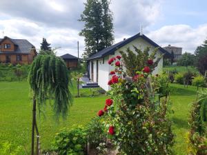 apartament Wigry domek z altaną na wyłączność