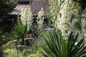 Appartements Le Jardin Yuccas - Cosy cottage in the Loir& Loire Valleys : photos des chambres
