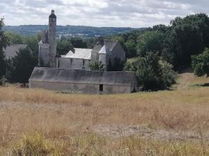 Appartements Le Jardin Yuccas - Cosy cottage in the Loir& Loire Valleys : photos des chambres