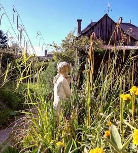 Appartements Le Jardin Yuccas - Cosy cottage in the Loir& Loire Valleys : photos des chambres