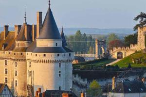 Maisons de vacances Langeais - Gite des Culeveaux : photos des chambres