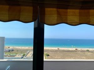 Alvor Seven 10