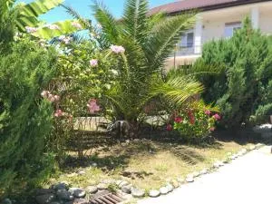 Виктория - Tsandrypsh