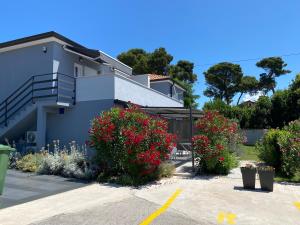 Apartaments Punta Relax 