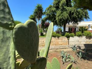Masseria Patese
