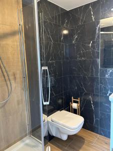 Gryf-Balt - Pokój z aneksem kuchennym