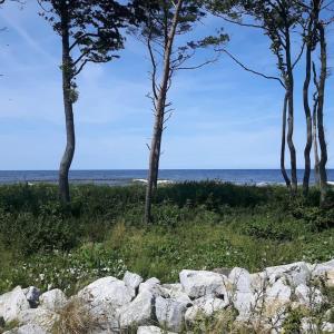 GLONEK drewniany domek nad morzem - Rusinowo koło Jarosławca