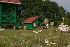 GLONEK drewniany domek nad morzem - Rusinowo koło Jarosławca