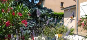 B&B / Chambres d'hotes Fleurs de Cosmos : photos des chambres