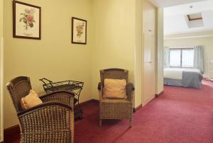 IRAIPE Ongi Hotel Auto Check-in