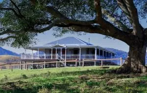 Cookes Road Cottage at Conondale - Booloumba