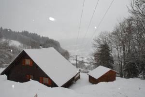 Chalets La Mazzonette - 4* chalet in de natuur met hottub : photos des chambres