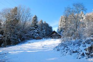 Chalets La Mazzonette - 4* chalet in de natuur met hottub : photos des chambres