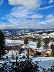 Cabana Dor de Apuseni