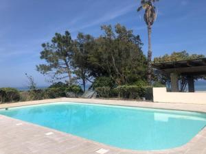 Appartements Grand studio avec coin cabine, terrasse vue sur mer et piscine : photos des chambres