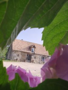 Maisons de vacances Les naturelles : photos des chambres