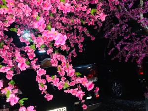 กอบสุข รีสอร์ท2 k04