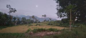 Mushtinal Guest House