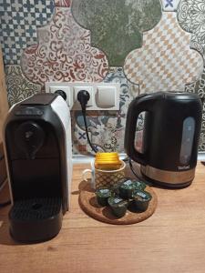 Apartament PAPROTKA 100m