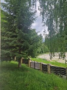 Vila Pinul si Mesteacanul