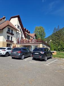 Vila Pinul si Mesteacanul