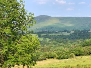 The Living Energy Holidays