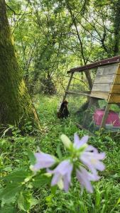 Maisons de vacances maisonnette avec jardin et terrasse : photos des chambres