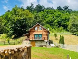 Brvnara Lepota življenja - Živkovci