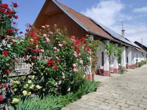 Penzion Na výminku - Blatnice