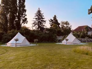 Tentes de luxe Glamping moustache : photos des chambres