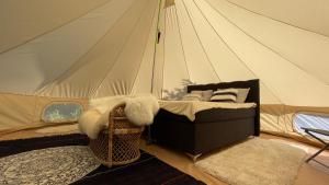 Intsu Royal Kadakametsa Glämp