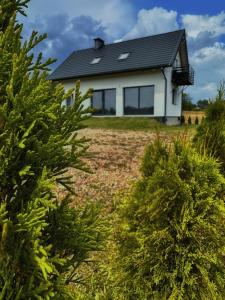 Szmaragdowe Apartamenty