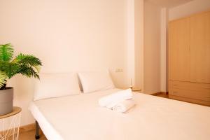 Apartamento en el Puerto de l’Ampolla