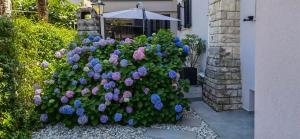 Stay in the very heart of Poreč - 50m to the beach