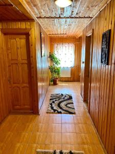 Casa de Vacanta Catrinel