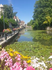 Appartements LE MATIN CALME - Charme ancien - Vue canal : Appartement 1 Chambre