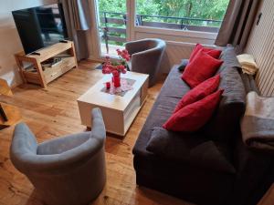 gemütliche moderne Ferienwohnung inkl. WLAN in St AndreasbergBraunlange
