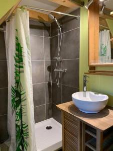 Appartements Chaleureux studio plein sud en Tarentaise ! : photos des chambres