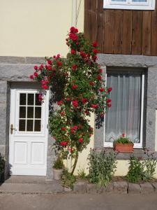 Maisons de vacances FERME DU HAUT BARBA chambres d'hotes & gite : photos des chambres