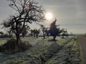 Badischer Neubau-Ruhe-Kunst-Natur