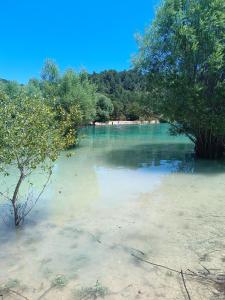 Campings Mobil home 6 personnes climatisation Sainte Croix du Verdon - Gorges du Verdon : photos des chambres