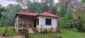 Tu Casa en la Selva Lacandona